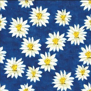 Daisies