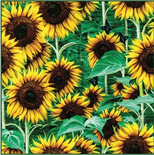Sunflowers