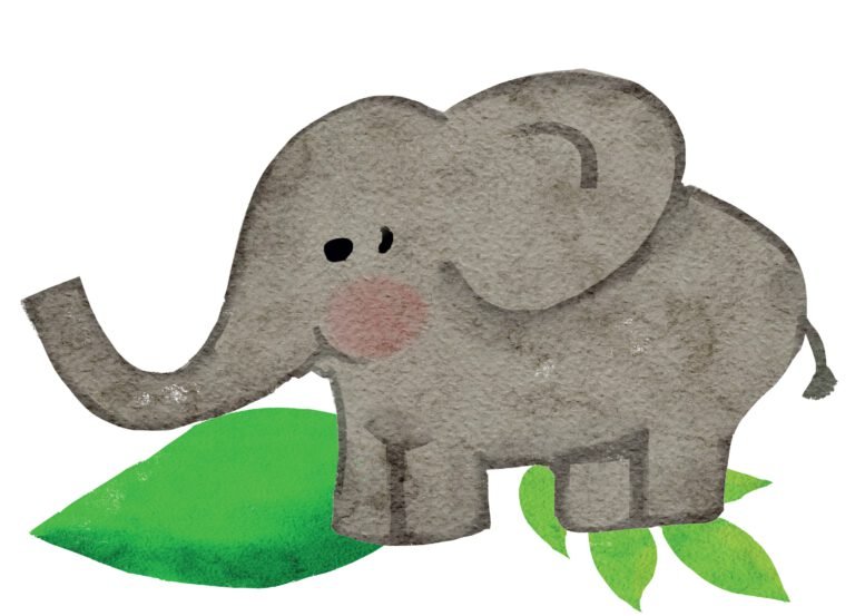 Kids Elephant