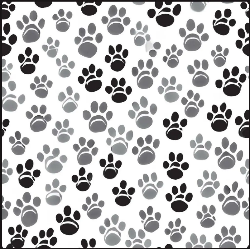 Paw Prints
