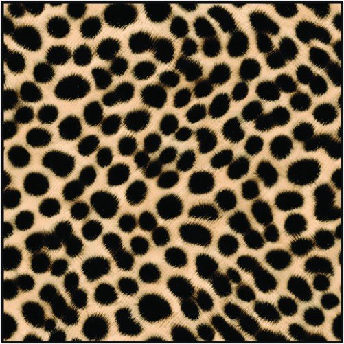 Cheetah Print