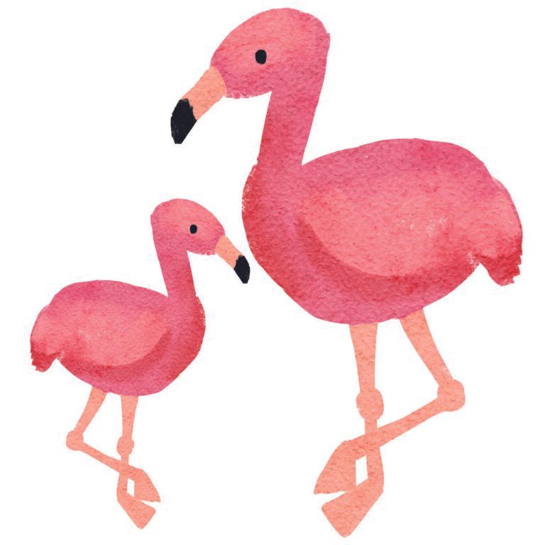 Kids Flamingos